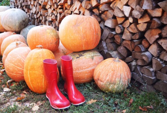 Programme des vacances d’automne